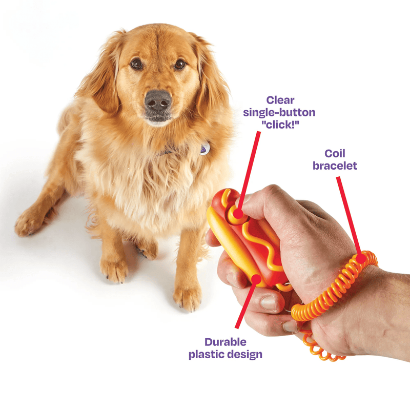Hand holding Plastic hot dog in a bun with yellow mustard on a keyring with a yellow button and a orange coil bracelet attached. Arrows with text saying 'Clear single-button click!', 'Coil bracelet' and 'Durable plastic design' in front of a sitting golden retriever type dog. 