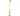 A green plush pea pod-shaped cat toy with a matching green rope at full length and a larger pea at the bottom of the rope, shown on a plain white background.