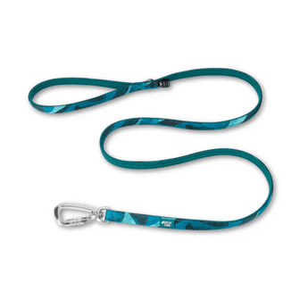 White background with a teal coloured Twiggy Tags Aurora Adventure Small dog lead with one handle and carabiner clip.