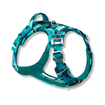 White background with a teal coloured Twiggy Tags Lagoon Adventure dog harness with a clip and d-ring with a tag with text 'Twiggy Tags'.