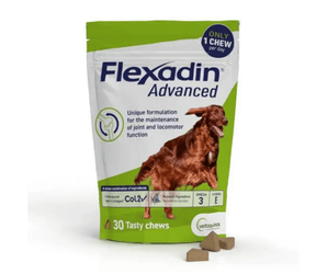 White background with a green and white packet with a Irish red setter dog pictured on the bag. Text on the bags reads 'Flexadin Advanced, Unique formulation for the maintenance of joint and locomotor function.' In the foreground are three triangle shaped treats. 