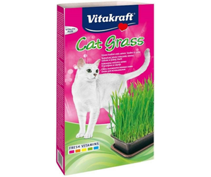 White background with a pink and green box of Vitakraft Cat Grass. On the box a white cat is pictured next to a tray of cat grass. 