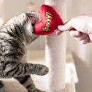 Hand holding red heart shaped cat toy with a fluffy trim and yellow stitch detail text 'Yeowww!' while tabby cat on the other end is biting the heart. Pictured inside, with cat scratcher in the background. 