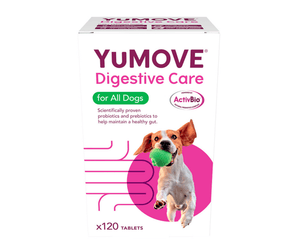 White background with a box of YuMove Digestive care for All Dogs . On the packet is a Beagle jumping out of a pink circle. Additional text on the box reads 'Scientifically proven probiotics and prebiotics to help maintain a healthy gut.'
