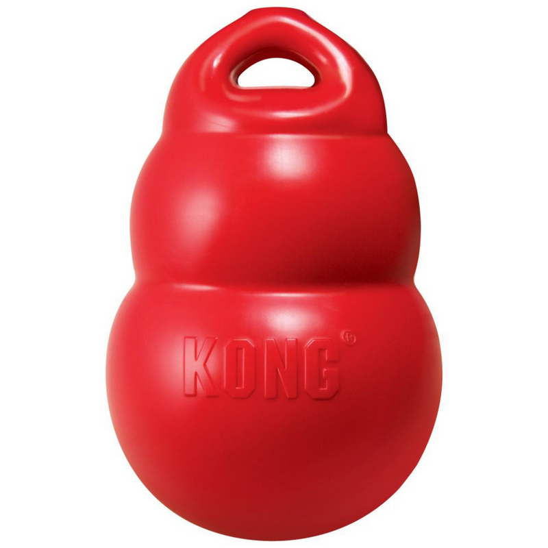 Kong Medium Bounzer Dog Toy
