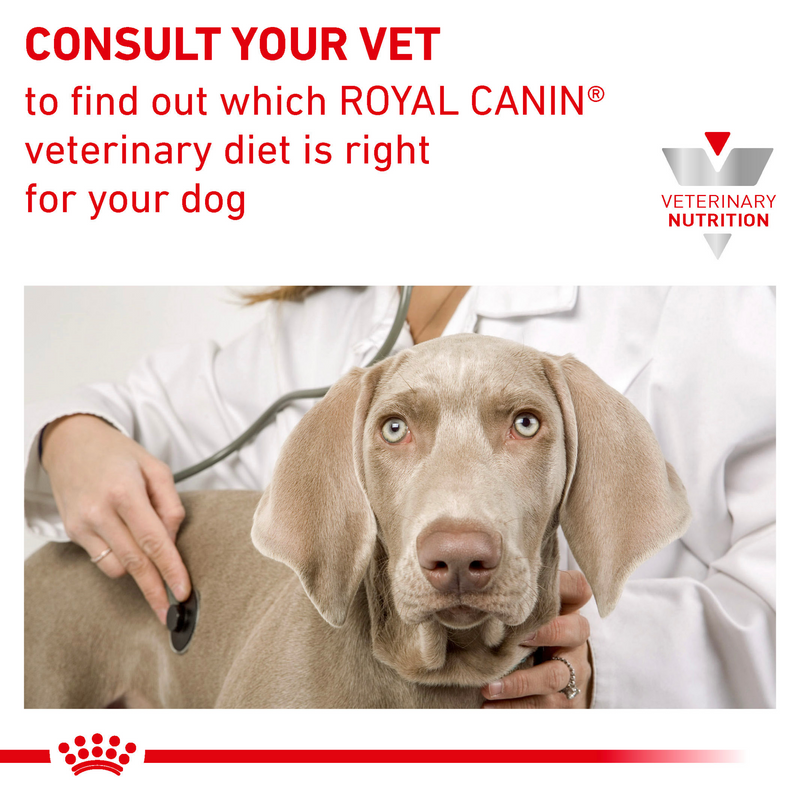 ROYAL CANIN® Canine Urinary S/O Adult Dry Dog Food