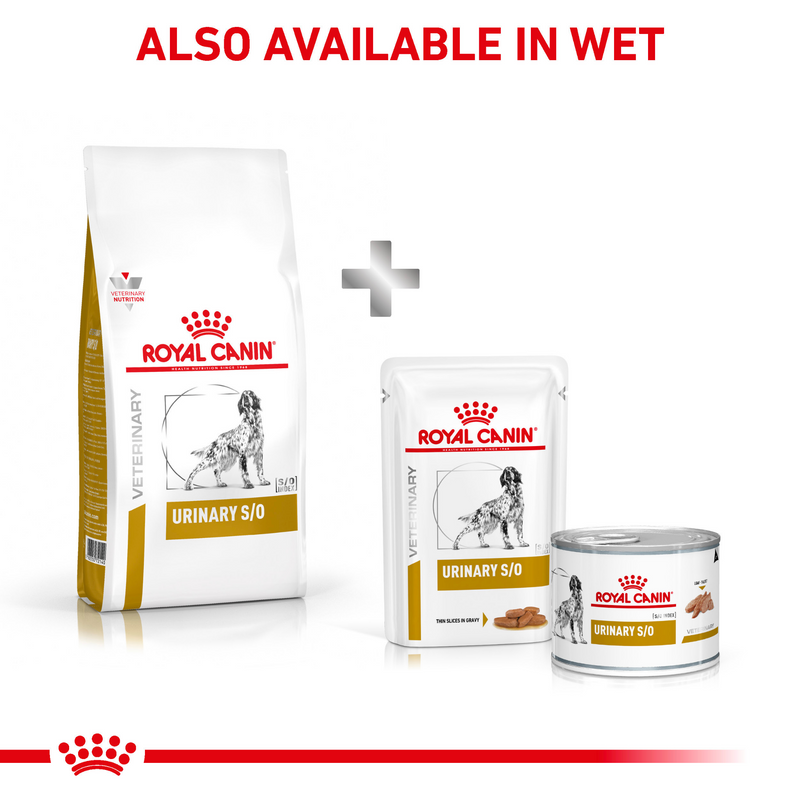 ROYAL CANIN® Urinary S/O Loaf Adult Wet Dog FoodROYAL CANIN® Urinary S/O Loaf Adult Wet Dog Food