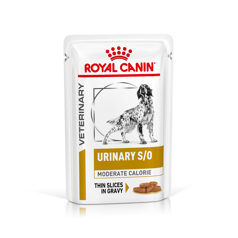 ROYAL CANIN® Canine Urinary S/O Moderate Calorie Thin Slices in Gravy Adult Wet Dog Food