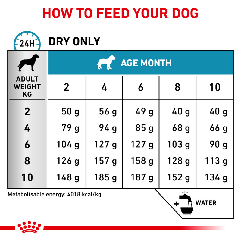 ROYAL CANIN® Skin Care Puppy Small Dog Dry Food