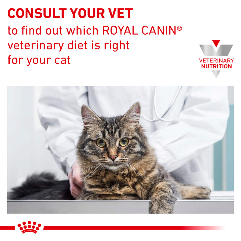 ROYAL CANIN® Feline Hypoallergenic Adult Dry Cat Food
