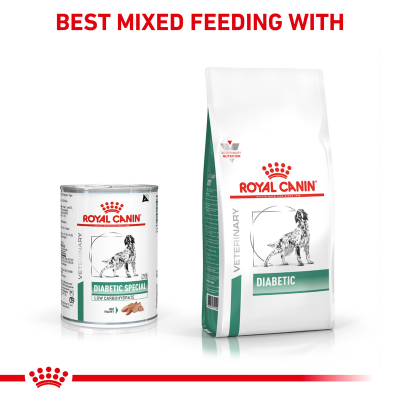 ROYAL CANIN® Diabetic Special Adult Wet Dog Food