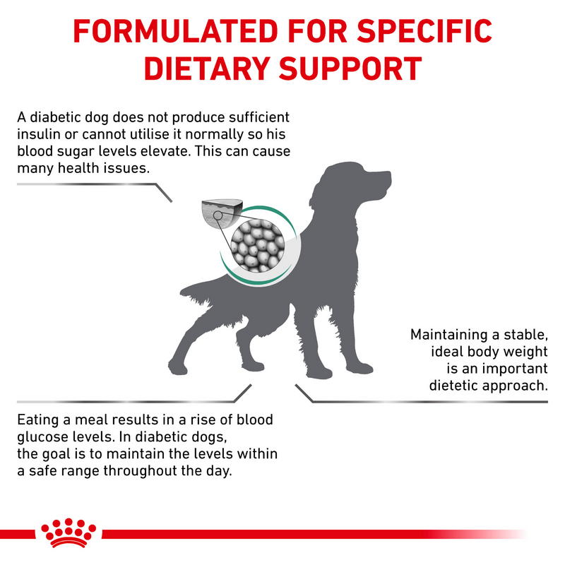 ROYAL CANIN® Diabetic Adult Dry Dog Food