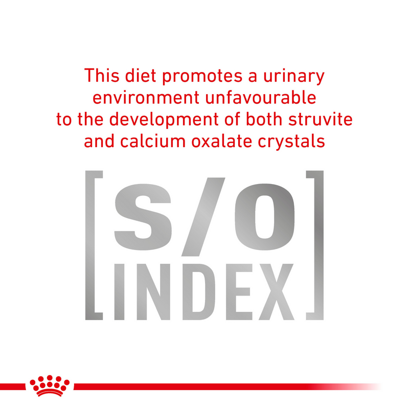 ROYAL CANIN® Gastrointestinal Moderate Calorie Adult Dry Cat Food