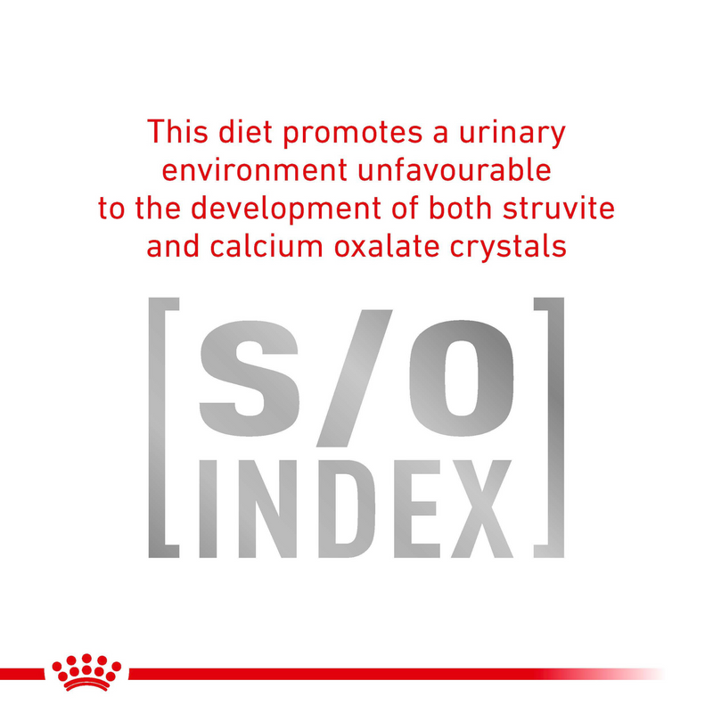 ROYAL CANIN® Early Renal Adult Dry Cat Food