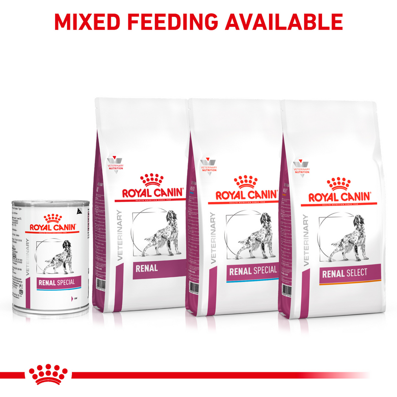 ROYAL CANIN® Renal Special Adult Wet Dog Food
