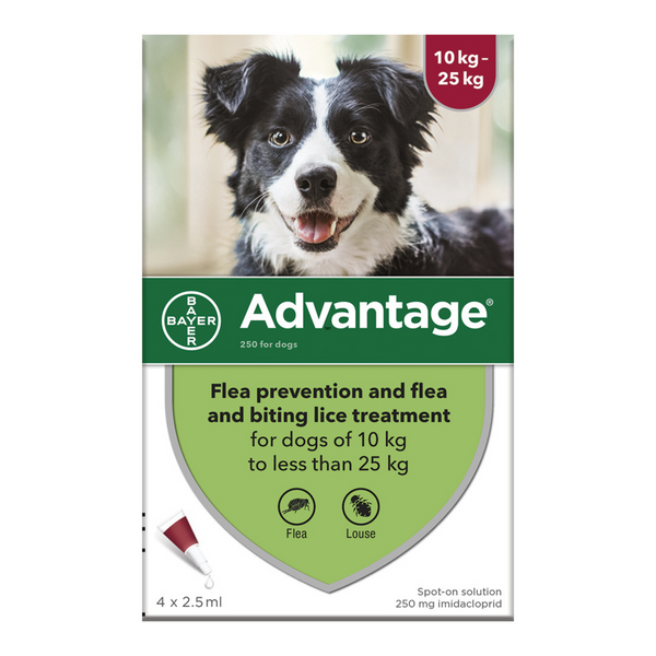Primidacide flea treatment for dogs outlet
