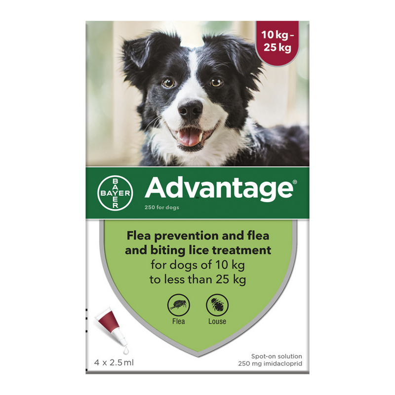 Advantage 100 4 Week Spot On Flea Treatment For Small Dogs 4 10kg