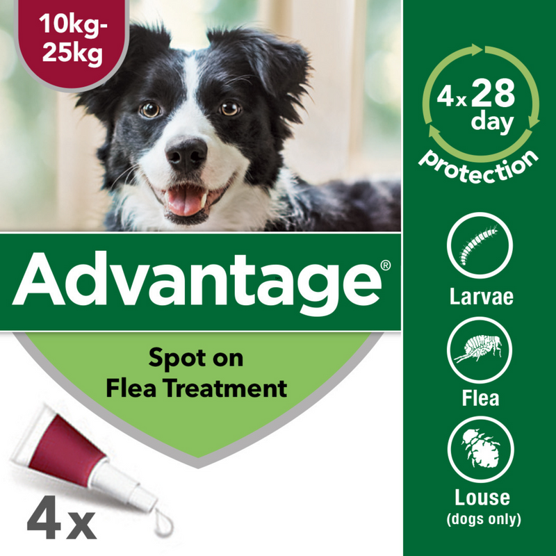 Advantage 250 flea treatment for deals dogs