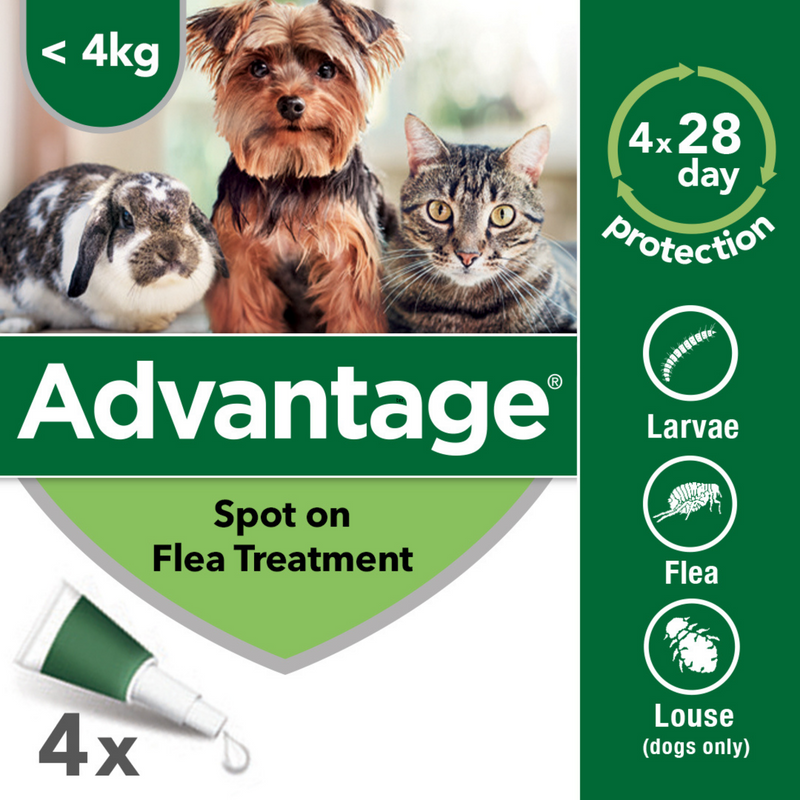 Advantage 100 4 Week Spot On Flea Treatment For Small Dogs 4 10kg