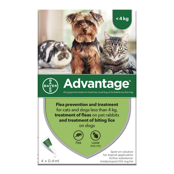 Advantage spot 2025 on for dogs