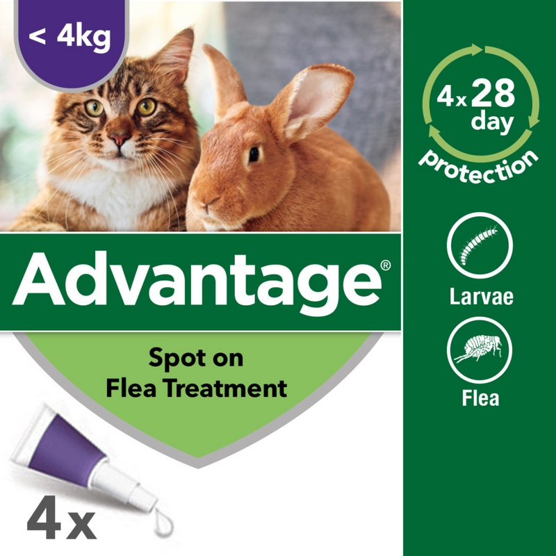 Advantage for cats uk best sale