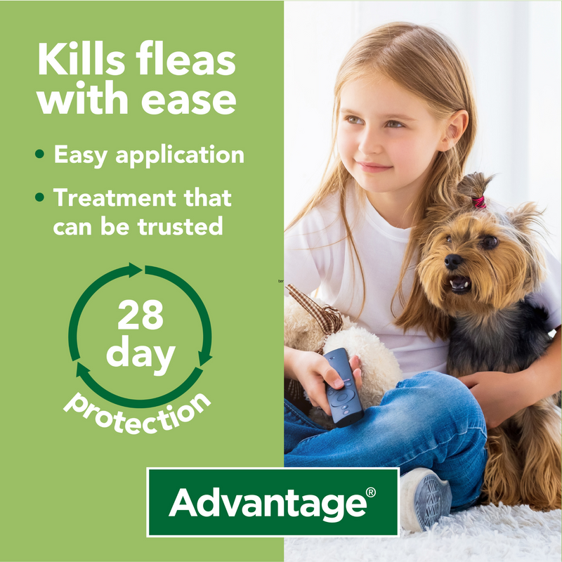 Advantage 100, 4 Week Spot-On Flea Treatment For Small Dogs (4-10kg)