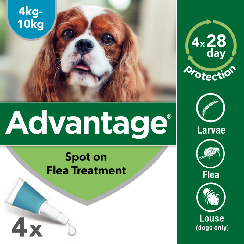 Advantage 100, 4 Week Spot-On Flea Treatment For Small Dogs (4-10kg)