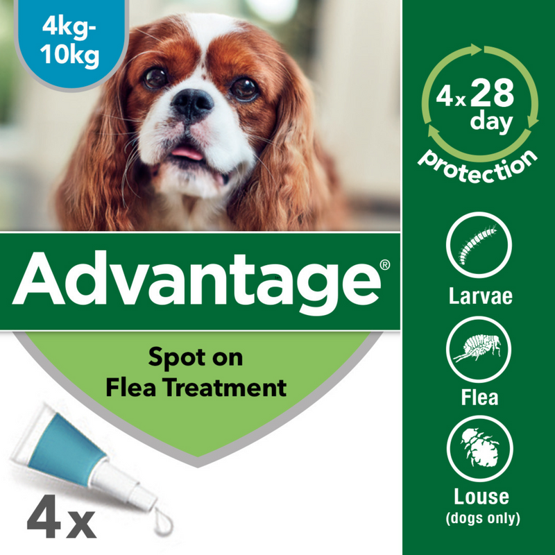 Emergency flea deals treatment for dogs