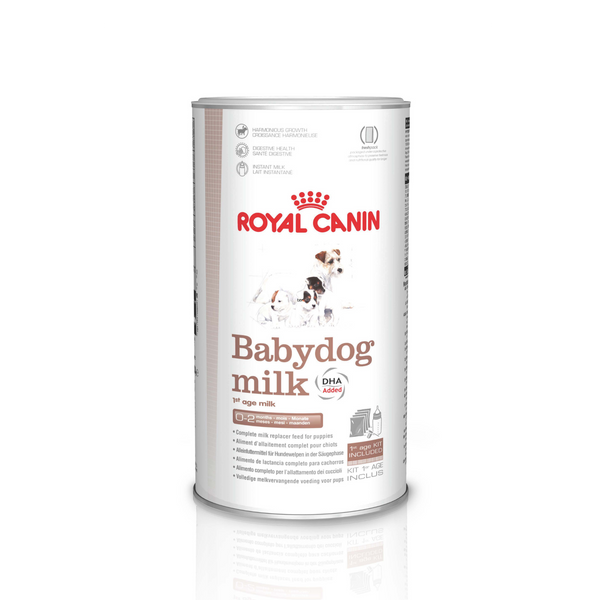 Royal discount canin babydog