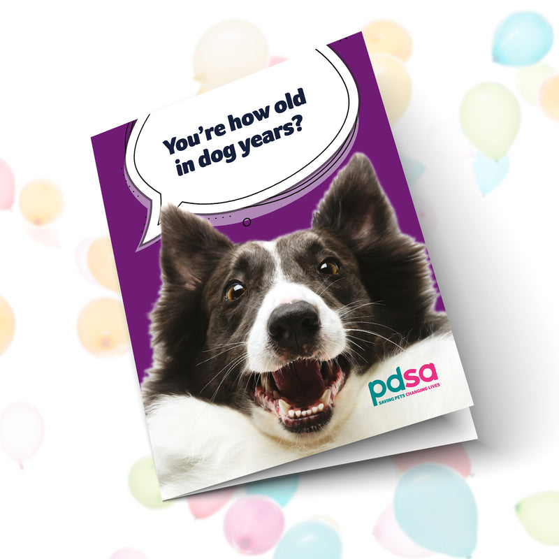 You're How Old In Dog Years Card Front