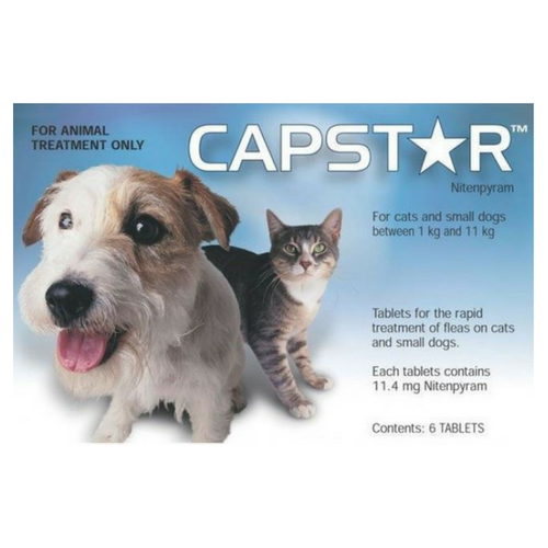 Capstar Flea Tablets for Cats & Small Dogs - PDSA Pet Store