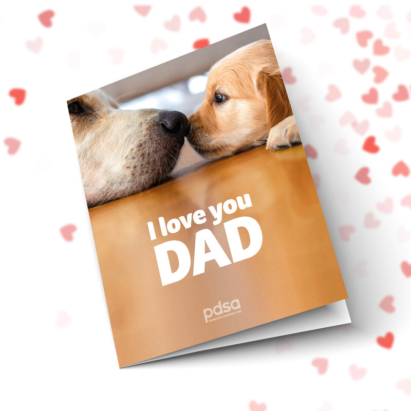 I Love You Dad Front Cover