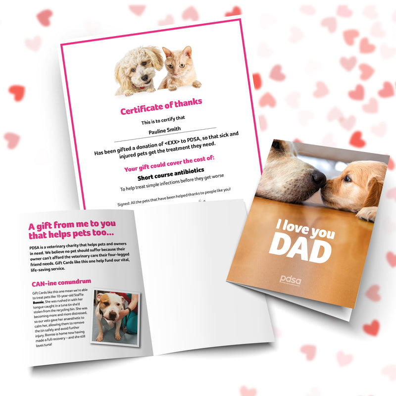 I Love You Dad Card and Certificate