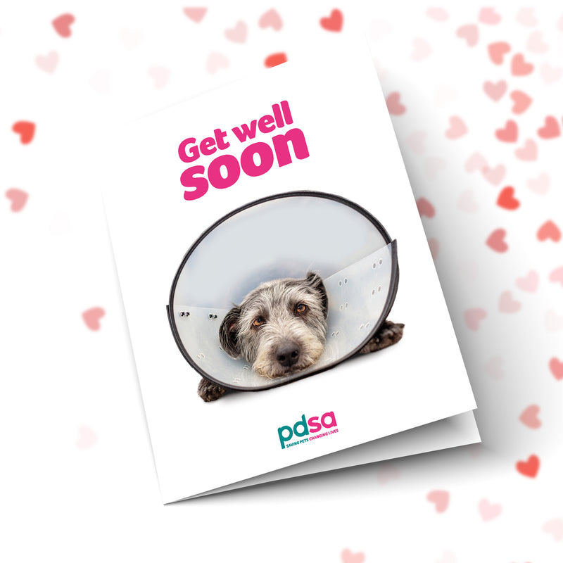 Get Well Soon Dog In Cone Front Cover