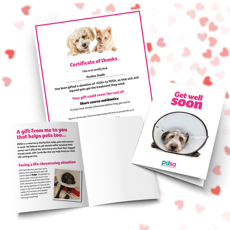 Get Well Soon Dog In Cone Card and Certificate