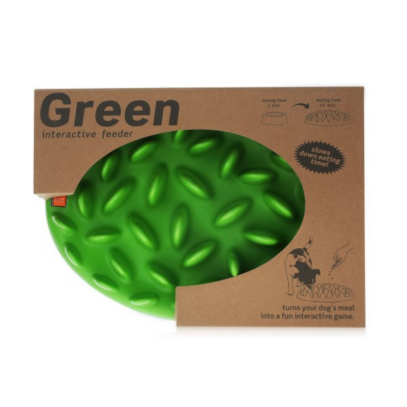 Green Slow Dog Feeder