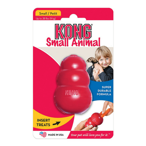 Kong Small Animal - PDSA Pet Store