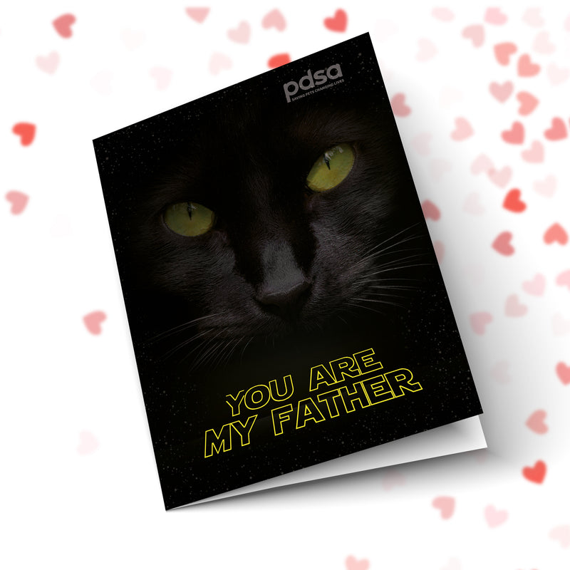 You Are My Father Cat Front Cover