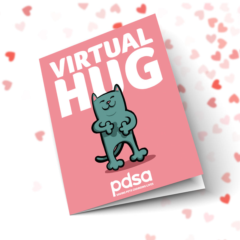 Virtual Hug Front Cover