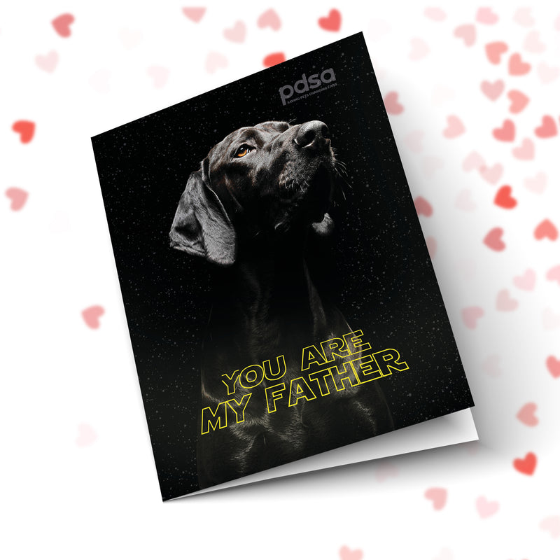 You Are My Father Dog Front Cover