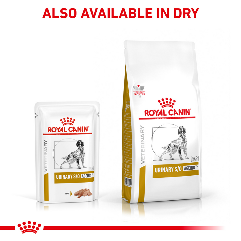 ROYAL CANIN® Canine Urinary S/O Ageing 7+ Loaf Wet Dog Food