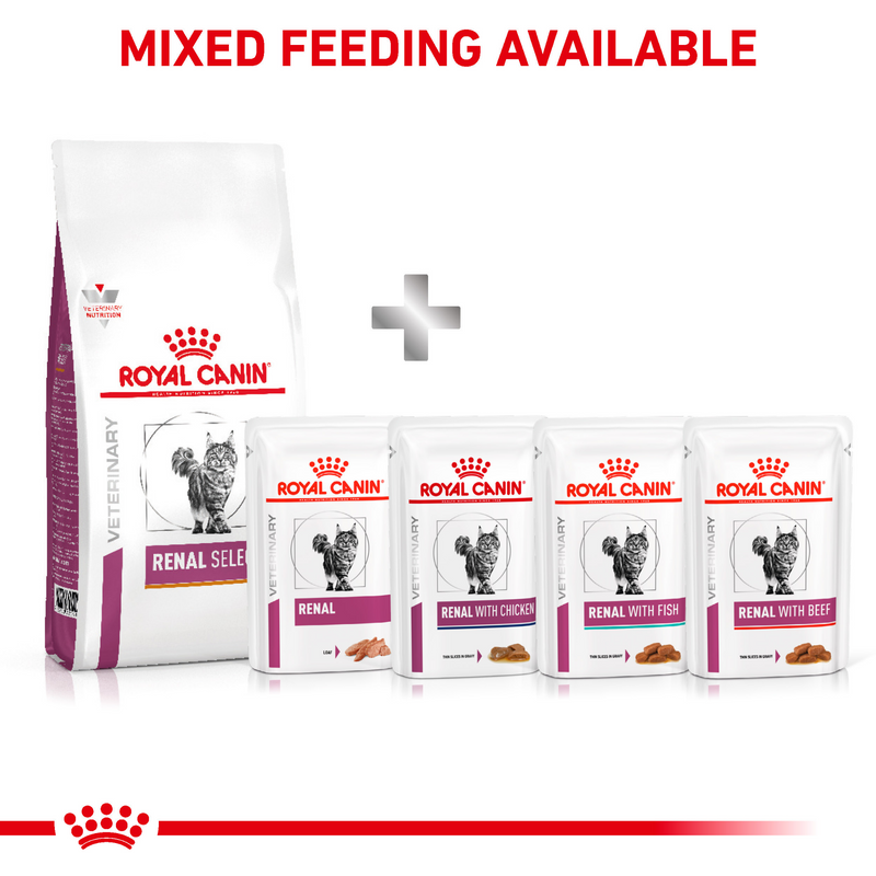 ROYAL CANIN® Renal Select Adult Dry Cat Food