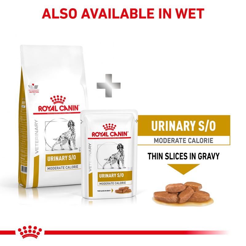 ROYAL CANIN® Urinary S/O Moderate Calorie Adult Dry Dog Food