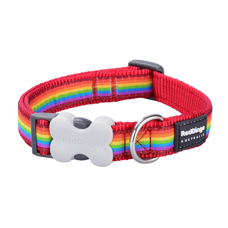 Red Dingo Rainbow Dog Collar