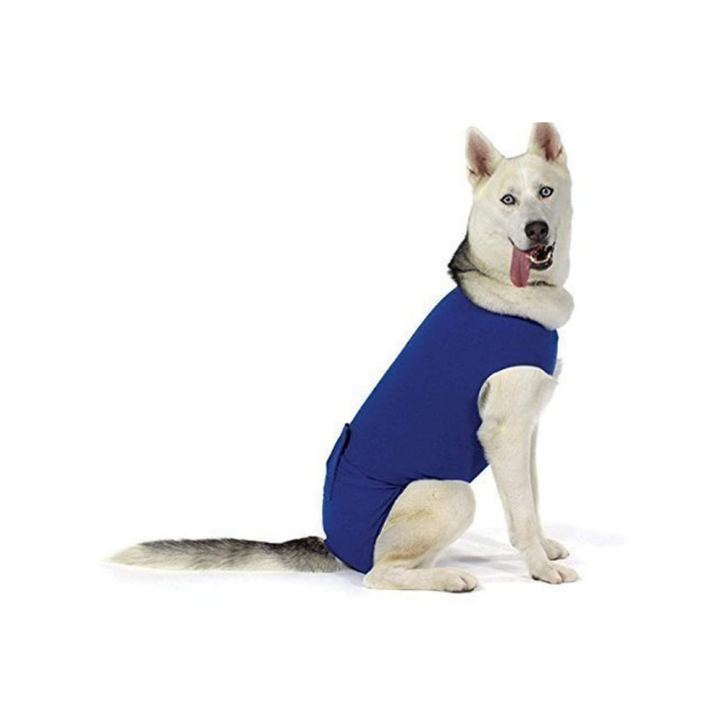 Dog Mom Clothing  The Best Pet Hair Resistant, Claw Proof Garments
