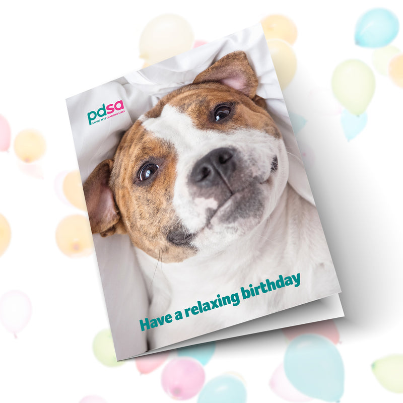 Have a Relaxing Birthday Card Front
