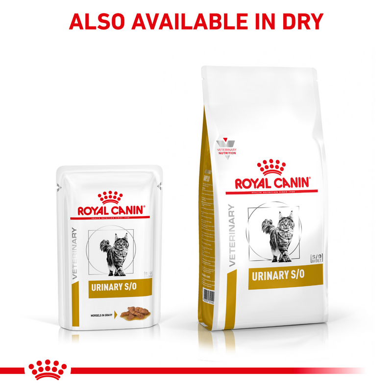 ROYAL CANIN® Urinary S/O Morsels in Gravy Adult Wet Cat Food