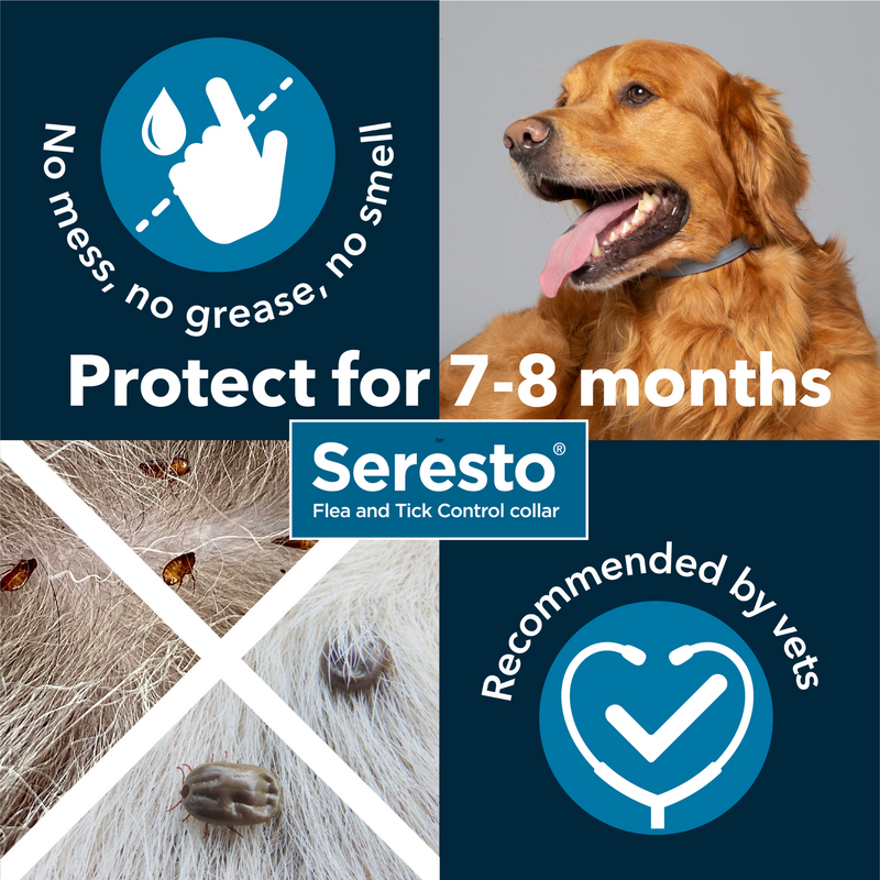 Seresto sales medium dog
