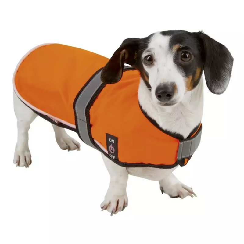 LED Safety Vest Maxi Safe Orange Extra Large on dog