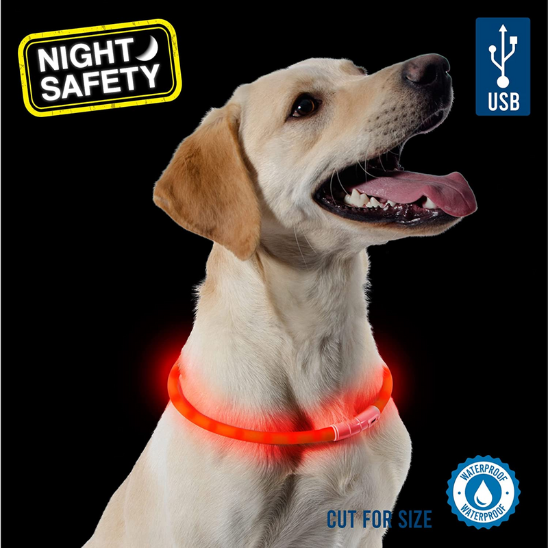 Rechargeable Safety Halo - One Size Orange